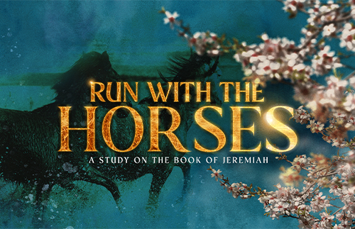 Run With The Horses